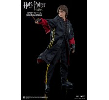 Harry Potter My Favourite Movie Action Figure 1/6 Harry Potter Triwizard Tournament Version 29 cm